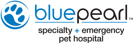 Blue Pearl Logo Blue Pearl Logo