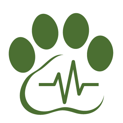 Paw Print Graphic Paw Print Graphic
